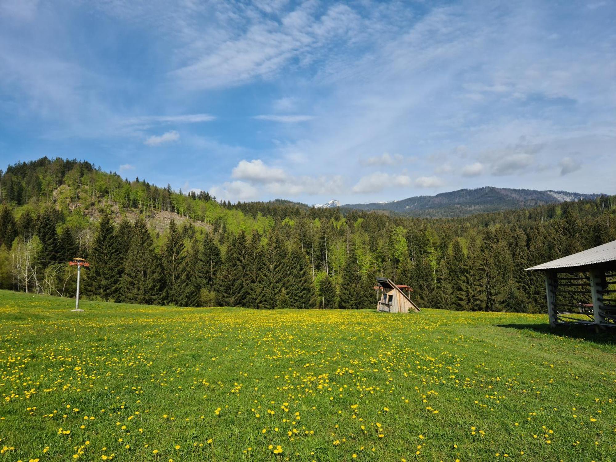 Apartments Anz'K Bled Bagian luar foto
